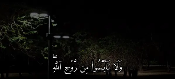 سورة يوسف | 87 | القارئ : #حسين_العزام #quran #explore #اجر_لي_ولكم 