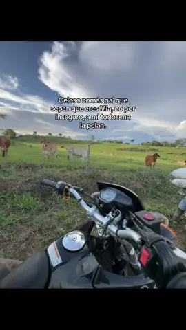 🙄 Ig:DidierDuarte_ #LIVEIncentiveProgram #JustGoLIVE #PaidPartnership 