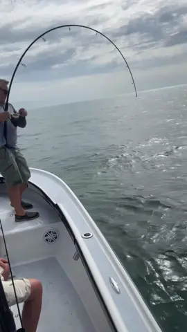 #fyp#fishing#fishtok#meat#beach