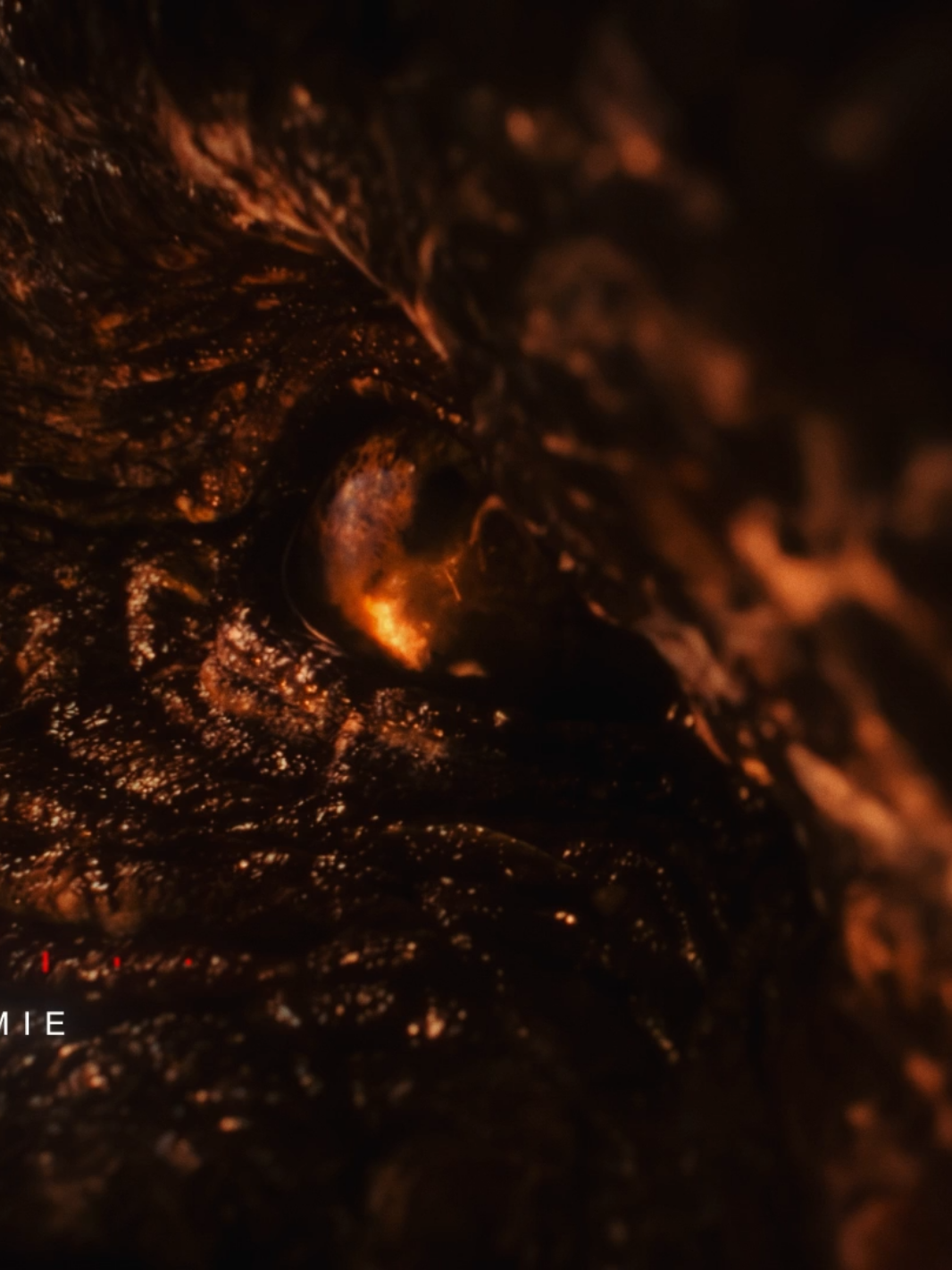 Targaryens Song: Break-Camie #aknightofthesevenkingdoms #gameofthrones #houseofthedragon #goovsedit #edit 