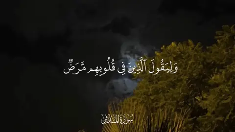 #سورة_المدثر #ماهر_المعيقلي #fyp #تلاوات #viral 