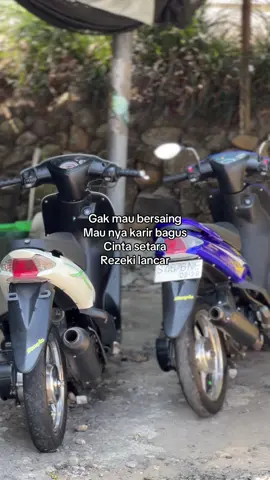 ✌🏻#micetreborn #simple 