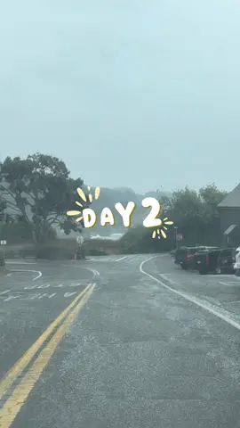 Day 2 of Jasper’s birthday trip 🐾 We woke up to the rain in Mendocino but only for a little bit so got lunch at Pattersons ☘️then we were able to explore some beaches  ✨ Ended our adventures with room service at  Little River Inn 🌊🐶💤  #glassbeach #jugheadbeach #mendicino #littleriverinn #wolfdog