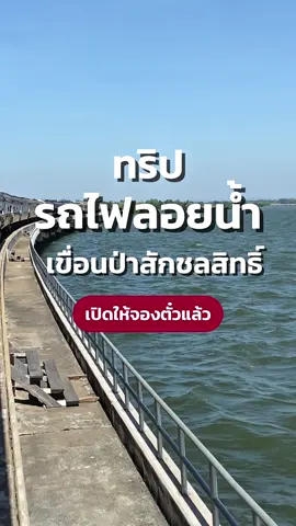 📍ทริปรถไฟนำเที่ยวเขื่อนป่าสักชลสิทธิ์มาแล้ว ✨ - รีบจองนะ เต็มเร็วมาก  - มีเฉพาะเสาร์ - อาทิตย์ เริ่มรอบแรก 1 พ.ย. 68 - มีทั้งรถนั่งธรรมดาและปรับอากาศ - เริ่มออกจากสถานีกรุงเทพฯ (หัวลำโพง) - จองตั๋วได้ที่แอพฯ D-ticket เว็บการรถไฟ หรือสถานีรถไฟใกล้บ้าน #รถไฟ #เขื่อนป่าสักชลสิทธิ์ #รถไฟลอยน้ํา #CapCut 