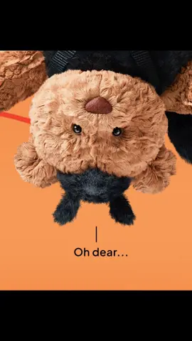 #Jellycat #jellycatcollection #halloween #jellycatchinhhang #fyp 