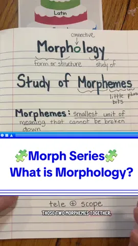 Welcome to my morphology series where I’ll  be explaining the depth and breath of morphology. I’m going to start with the basics and then cover the depth and breath of the top 10 prefixes and suffixes. If you wanna learn more about morphology please be sure to follow so you get the latest videos. Also let me know if there’s anything you wanna learn about and I’ll be happy to make videos about that, too.