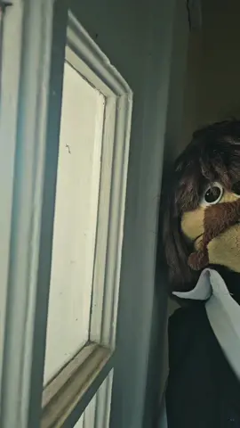 #babycomeback #player #yachtrock #classic #Love 