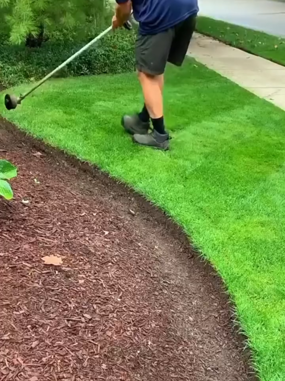 #benihrumput #rumputkarpet #rumputkubur #rumputsintetis #landscape 