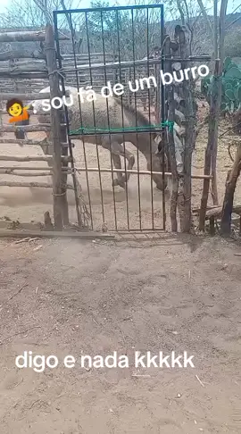 vc gosta de burro assim kkkk