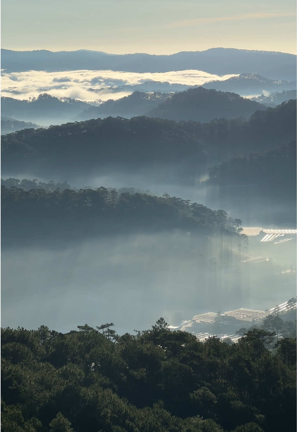 Mê Đà Lạt lắm rồi chứ gì 🤭 #dalat #sanmaydalat #dalattrip #xuhuong 