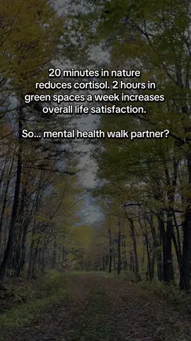 It’s annoying that a daily walk is so effective. #MentalHealth #therapy #walk #nature 