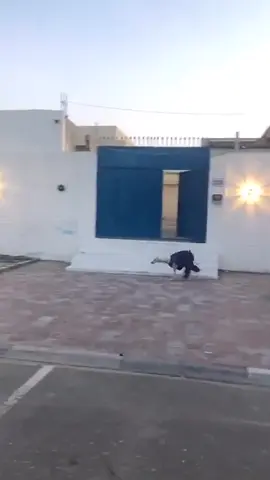 #كلبي #فصالات #الشعب_الصيني_ماله_حل😂😂 #fyp #foryoupage 