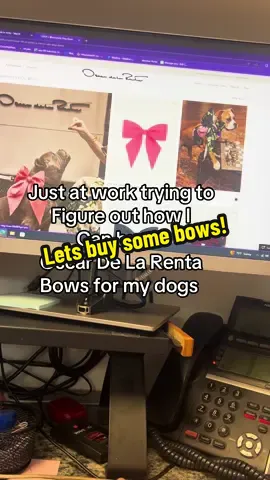 I’ve been following @Isabel Klee for awhile now! ! And absolutely love all the work she does! AND yes I fall in love with each dog she takes in! 1000% makes me wanna do better and get into shelters and get dogs fostered and into there forever home. Loved seeing itsy and cheesecake! I’m just out here trying to find a way to buy 4! Love the collection! And the amazing work it is doing! @Oscar de la Renta   @MEG   #fyp #dogmom #oscardelarenta  #fosteringsaveslives #bowsfordays  