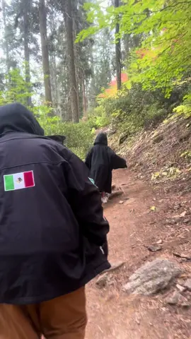 New beginnings for my kids and myself. We can’t wait for this weekends hike.. #tiktokhike #seqouia #hike #trails #newbeginnings 