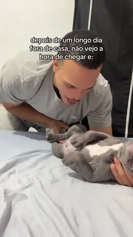 Hora mais esperada do dia beijar esse barrigão. #cachorrofilhote #filhote #americanbully #fofo #viral 