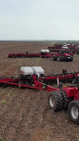 O plantio de soja no Mato Grosso segue firme. 🇧🇷🇧🇷 #case #steiger #tratores #soja #brasil 