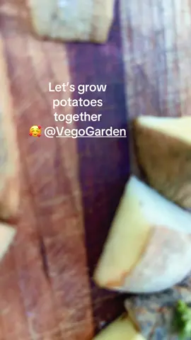 #tiktokshop #thankyouuniversefrommk❤️🙏 #successfullmk🙏 #blessedmk🙏 #viral 