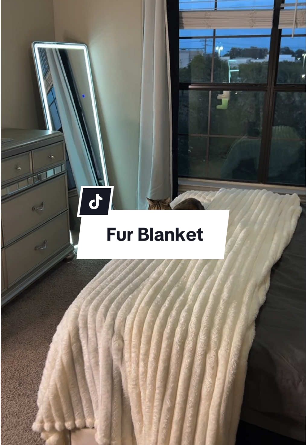My favorite blanket to have on my bed and wrap myself in #furblanket #cozyblanket #beddingdecor #cozyvibes #tiktokshopcreatorpicks 