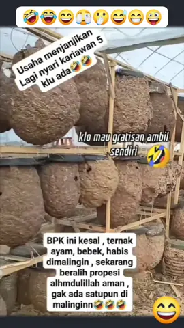 CARI 5 ORANG KARIAWAN☝️