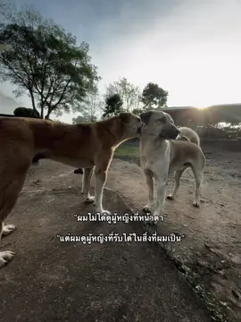 #เธรดคําพูด 