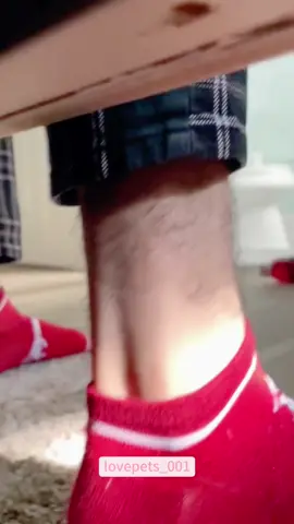 Hiding under the bed prank.#funny #foryou #funnytiktok #fyp #fypシ゚viral #cute #usa🇺🇸 