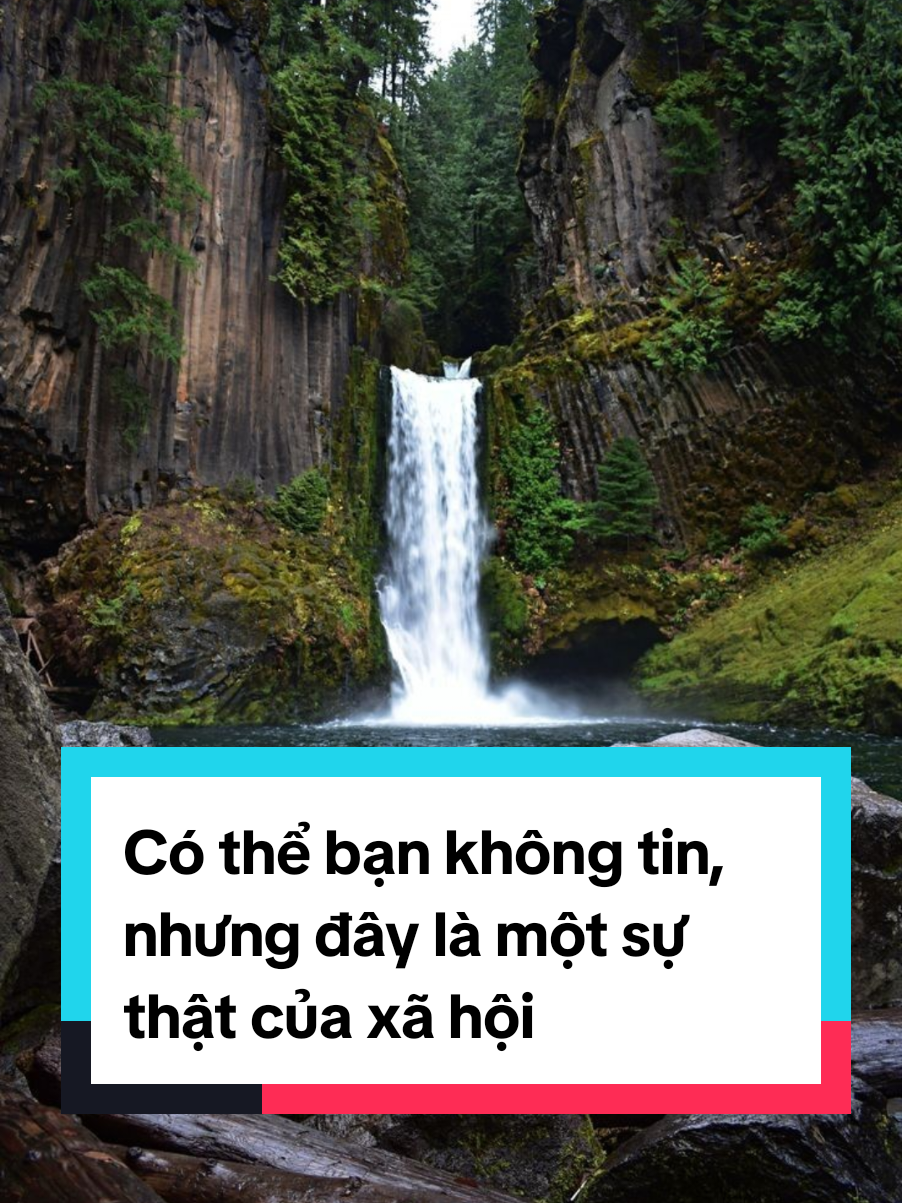 Có thể bạn không tin, nhưng đây là một sự thật của xã hội. #trietlynhansinh #trietlycuocsong #chualanhtamhon #phattrienbanthan #truyencamhung 