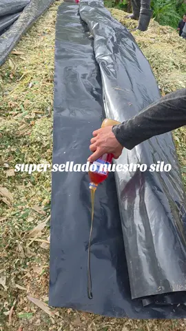 lo más sellado saludos amigo #paratiiiiiiiiiiiiiiiiiiiiiiiiiiiiiii #ganaderia🐂🐎 #silo #maiz #foryoupage @Ariela Diaz @el gato. Ariela Diaz @Dayana Diaz @Las comedia de tienda el gato @Ariela Díaz 😊😚 @Ariela Diaz 