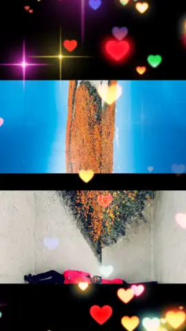 #LIVEIncentiveProgram #GenuineInteractionMatters #PaidPartnership 