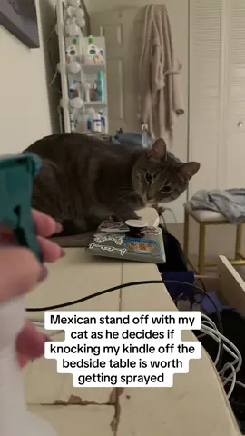 I swear he actually enjoys being sprayed 😭😭😭😭 #fyp #catsoftiktok #cat #cattok 