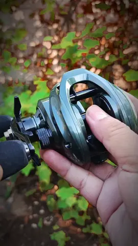 Reel BC Zorro Green #reelbc #reelpancing #mancing #mancingmania #mancingikan @Nayla pancing 