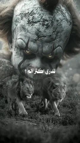 خاطرك مكسور #درنه #ليبيا #ترند #درنه_بنغازي_البيضاء_طبرق_ليبيا #خواطر_للعقول_الراقية 