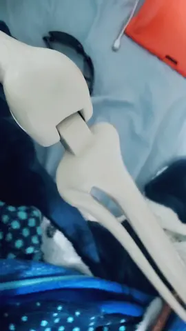 Skeleton #laugh #funny #fyp 