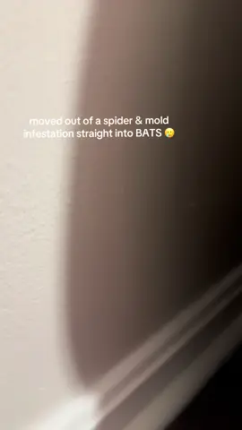 Happy Halloween ig… YAY 😭🦇