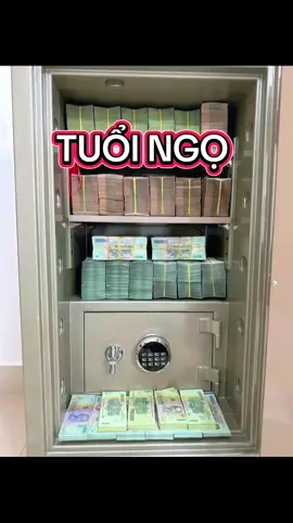 Tuổi ngọ#tuvi12congiap #tuvi #tuvisomenh 