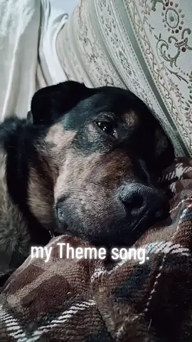 Its pretty fitting theme song.  #fyppppppppppppppppppppppp #christian #Jesus 