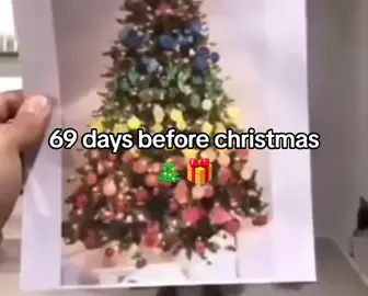 #christmastiktok #meme #69 #fyp #repost