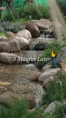 ธรรมชาติ…ยิ่งนาน ยิ่งงดงาม #น้ำตก #ลำธาร #รับทำน้ำตก #ธรรมชาติบําบัด #จัดสวน 