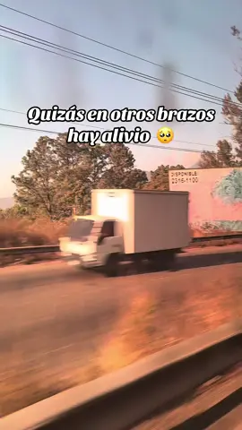 Quizás en otros brazos hay alivio #losprimosdedurango #music #viralvideo #parati 