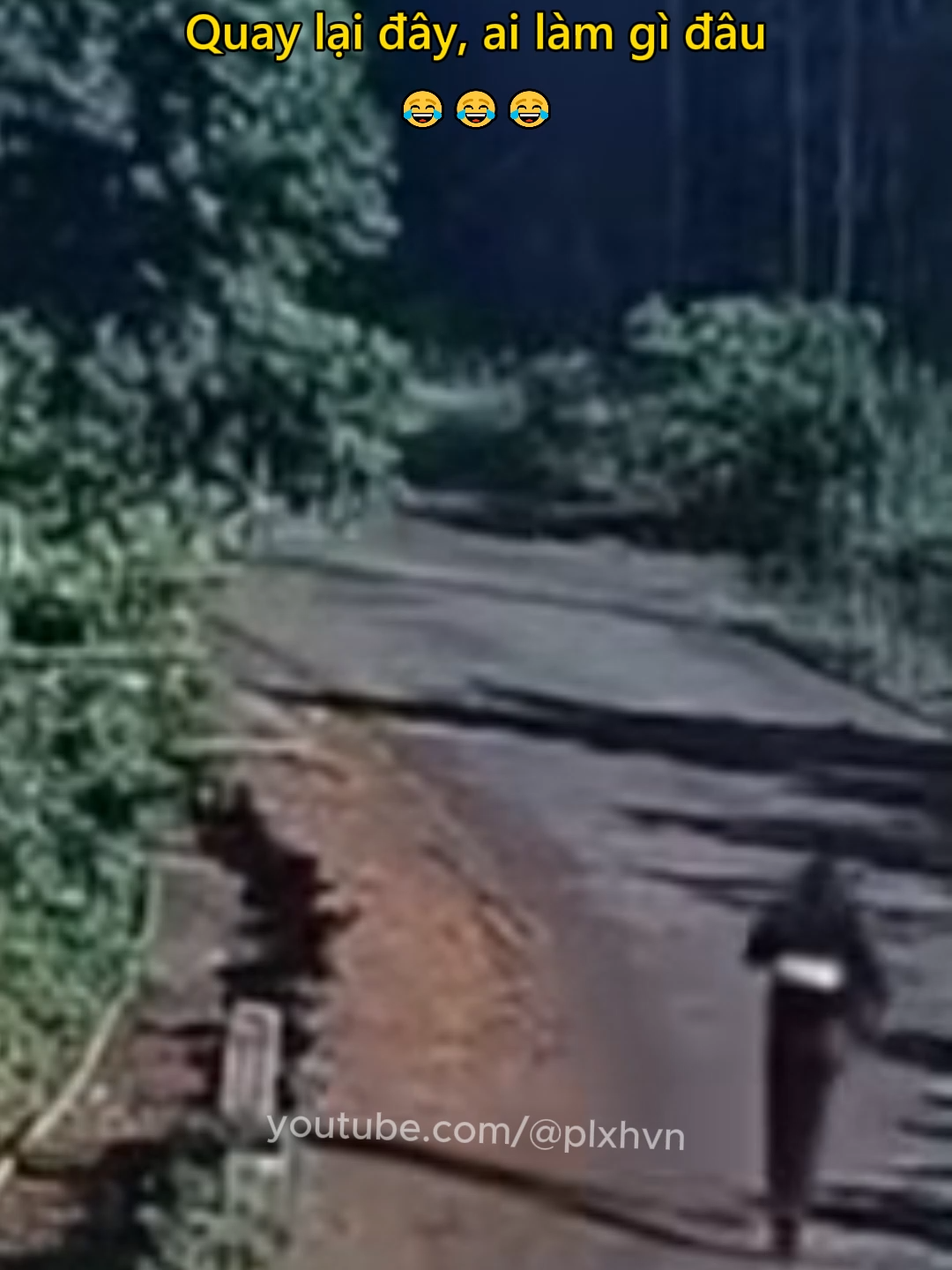 Quay lại đây, ai làm gì đâu 😂 #giaothong #csgt #tretrau #thongchot #luatgiaothong #antoangiaothong #plxhvn #phapluatxahoi