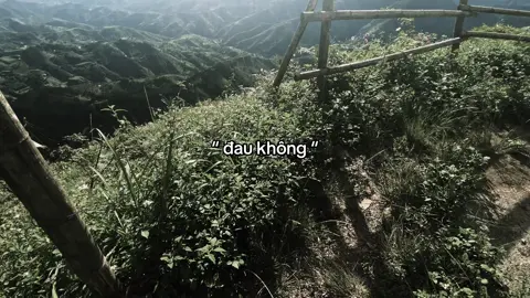 ? #caption #storytinhyeu #tramcamxuc #xuhuong #xuhuongtiktok 