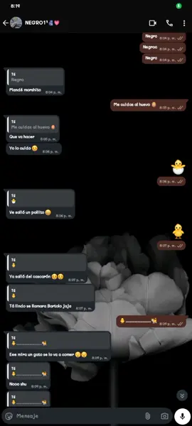 @𓆩ᴀɢᴜᴀʏᴏ🧃💸 JAJAJAJJA