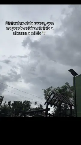 #paratiiiiiiiiiiiiiiiiiiiiiiiiiiiiiii #fytシ #🕊️🤍 