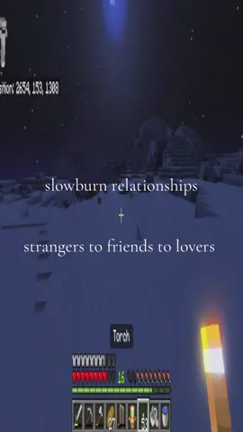 haha right… #Minecraft #vent #yearning #slowburn #fyp 