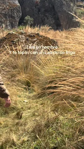Referencias que duelen  #ayuda #fyp #gladiator 