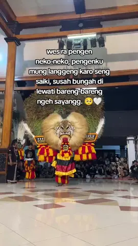 #boloreog #storyreog #fypage 