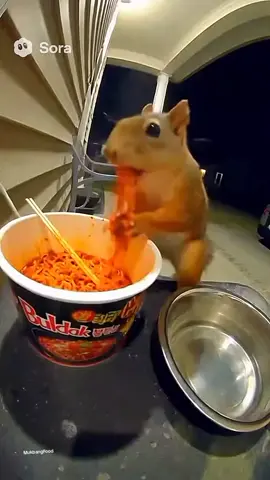 ‎Mukbang ASMR Eating spicy buldak samyang original challenge korean food eating ASMR squirrel eats spicy noodles  ‎#mukbang ‎#mukbangasmr ‎#asmrfood ‎#asmrcommunity ‎#asmreating ‎#samyang#buldak#spicynoodles#ghostpeppernoodles#mukbangvideo ‎ #viral #explorepage ‎#exploremore ‎#explore  ‎#explorepage ‎#fyp  ‎#fypage ‎#fypシ ‎#trending #food #Foodie #eatingshow #delicious#yummy#spicyfood#challenge#fyppppppppp#viraltiktok#trendingtiktok#cuisine#foodblogger#eatingasmr#satisfying#FoodLover#asmrsounds#ghostpepper ‎