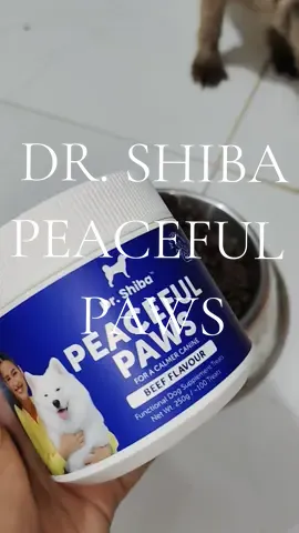 dr. shiba peaceful paws #drshiba #peacefulpaws #treats 