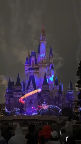 healing my inner child🎇🥰 #tokyo #tokyodisneyland #disneyland 