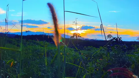 📸 thả tấm ảnh hoàng hôn gần nhất trong đt bạn#hoanghon #camera #photo #sunset #CapCut 