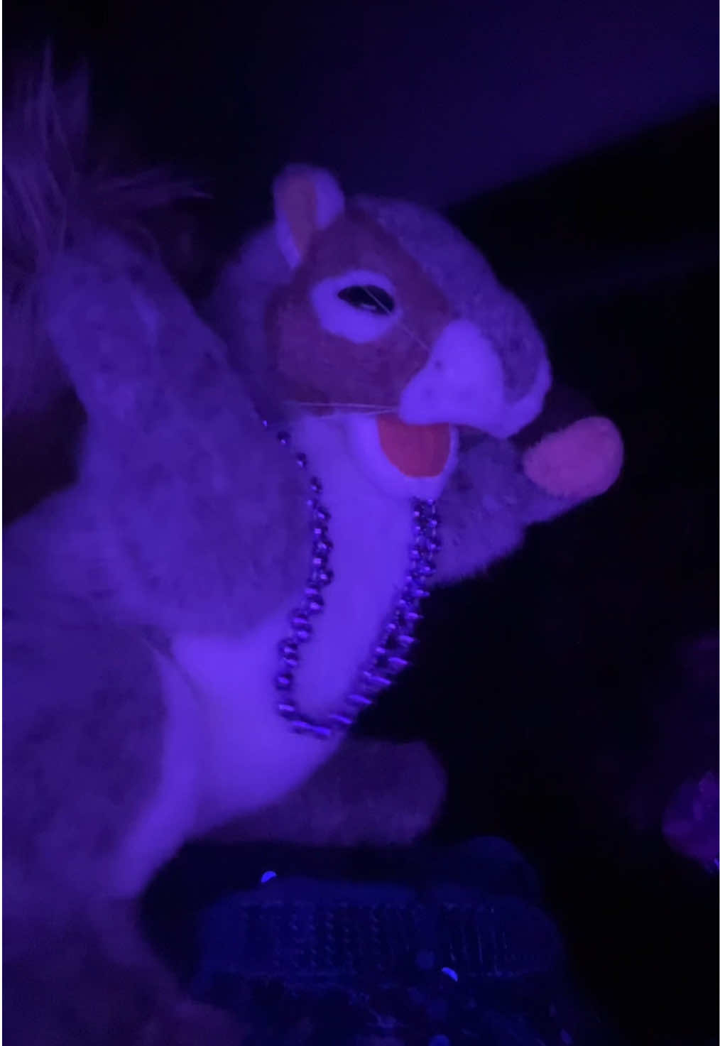 WHOS COMING TO CLUB NUTELLA TONIGHT??? 🤩🤩 #fyp #edm #baddie #handpuppet #makemefamous 